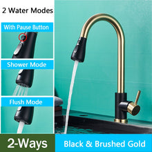 Load image into Gallery viewer, Brushed Nickel Kitchen Faucet